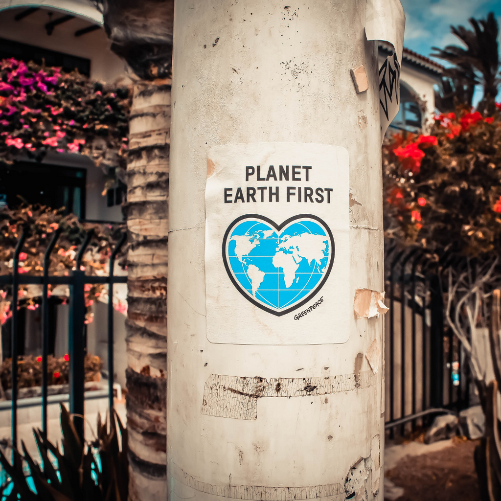 How do cosmetics impact the environment?