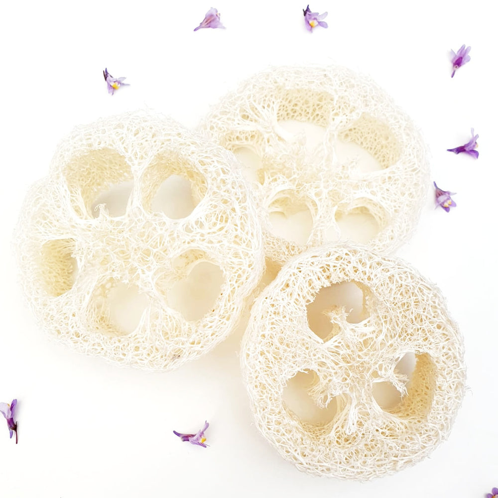 Loofah Slices
