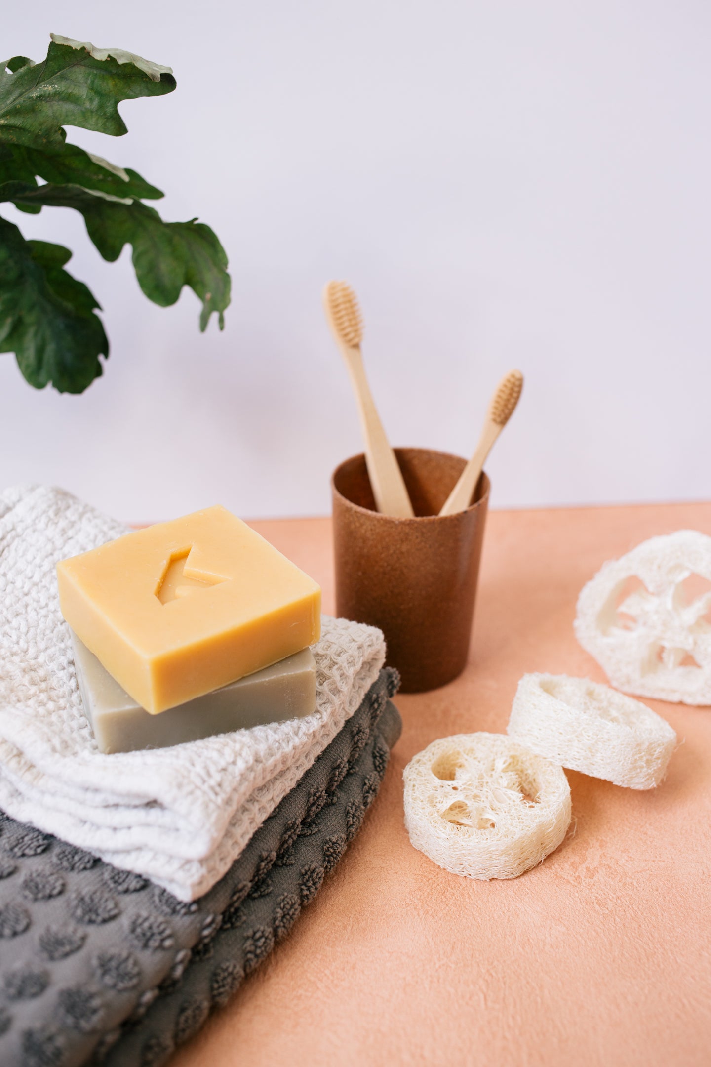 Loofah Slices